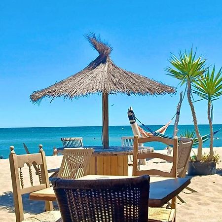 T3 Grande Terrasse Bord De Mer Le Barcarès Exteriér fotografie