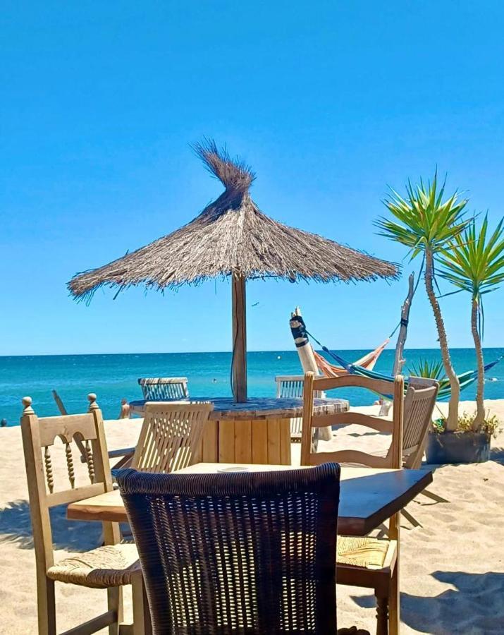 T3 Grande Terrasse Bord De Mer Le Barcarès Exteriér fotografie